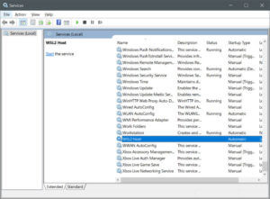 Getting WSL2Host.Exe To Work With A Microsoft Login 4 Cannot start WSL2Host service