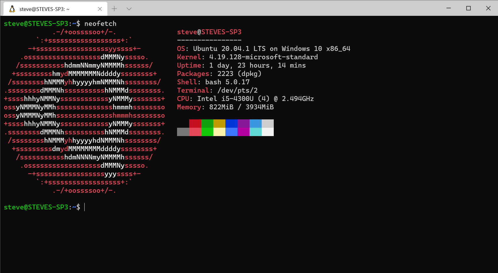 Screenshot of Ubuntu 20.04 on WSL2